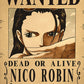 Anime One Piece Wanted Posters