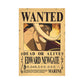 Anime One Piece Wanted Posters