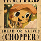 Anime One Piece Wanted Posters