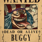 Anime One Piece Wanted Posters