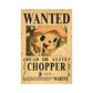 Anime One Piece Wanted Posters