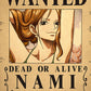 Anime One Piece Wanted Posters