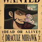 Anime One Piece Wanted Posters