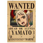 Anime One Piece Wanted Posters