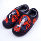 Anime Slippers