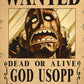 Anime One Piece Wanted Posters