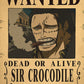 Anime One Piece Wanted Posters